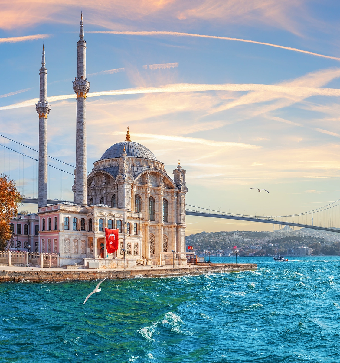 Ortakoy mosque and Bosphorus bridge